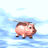 Flying Pig