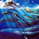 Sealife