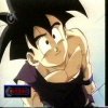 Gohan   Victory Chilling