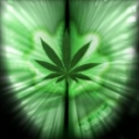 Marijuana