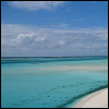 Tropical Paradise2