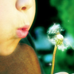 baby_154