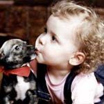 baby_163