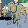 Really old dog