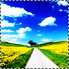 colorful avatar 031