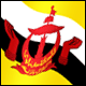 3D Brunei Flag