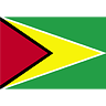 Guyana Flag