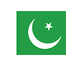 Pakistan Flag transparent