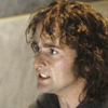 Peregrin Pippin Took