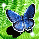 animal102