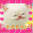 animal118