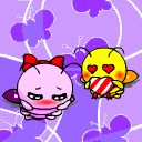 animal14