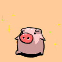 animal200