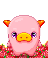 animal293