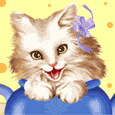 animal303