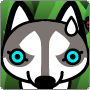 animal307
