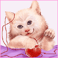 animal321