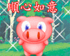 animal61
