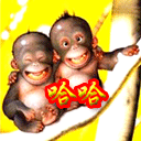 animal93