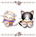 Animal50