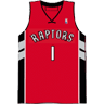 Toronto Raptors Alternate Shirt