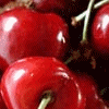 Cherries