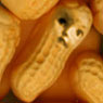 peanut