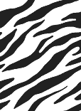 animal backgound pattern 011