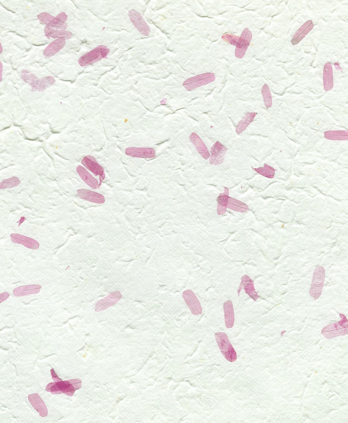 flowers pattern 007