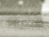 background pattern 022