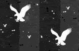 Animal backgound pattern 053