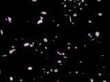 dark pattern 069
