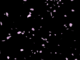 Dark pattern 132