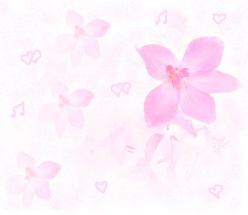 Flowers pattern 005