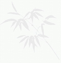 Nice background pattern 211