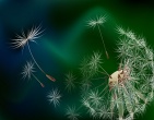 3d wallpaper 159