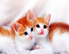 Animals wallpaper 066