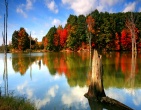 autumn wallpaper 006