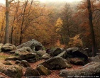 autumn wallpaper 026