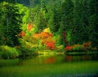Autumn wallpaper 040