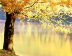 Autumn wallpaper 057
