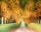 Autumn wallpaper 058