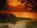 Tropical beach wallpaper 011