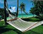 Tropical beach wallpaper 017