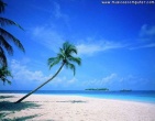Tropical beach wallpaper 020