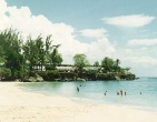 Tropical beach wallpaper 031