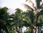 Tropical beach wallpaper 036