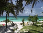 Tropical beach wallpaper 039