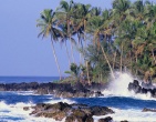 Tropical beach wallpaper 049