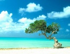 Tropical beach wallpaper 056